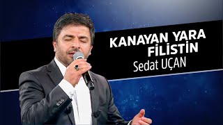 Kanayan Yara Filistin | Sedat Uçan Resimi