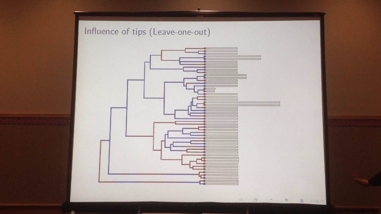 Schliep: Some problems with model-fitting and model-selection