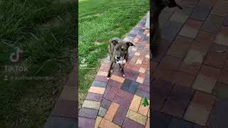 Girls Like Trees And Hiking Isnour Nature Girl