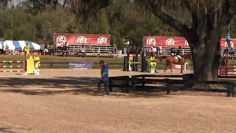Video of Dixie ridden by Kimberly Jungherr from Sh...