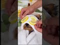 Yorkshire Dog Gets Massage ❤️❤️