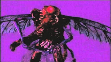 Escape from Bug Island