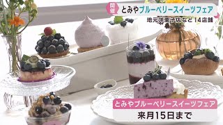 特産ブルーベリーのスイーツを販売 宮城・富谷市でフェア | khb東日本放送