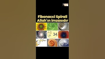 Doğada görülen fibonacci spirali ile Allah adeta imzasını atmıştır