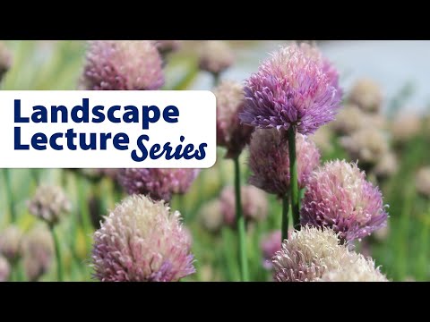 Wideo: Krajobraz biurowy: zasady fitoprojektu, odpowiednie rośliny, zgodność roślin i stylów