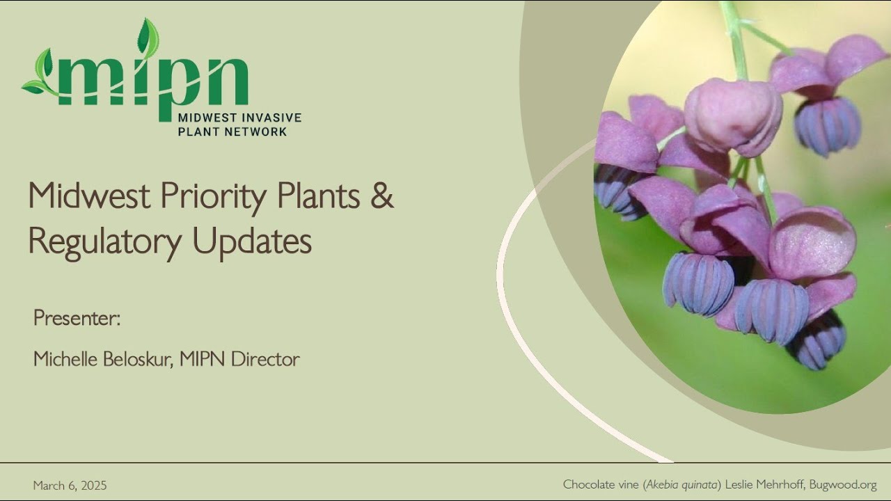 Midwest Priority Plants & Regulatory Updates
