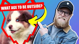 WHEN CAN MY AUSTRALIAN SHEPHERD PUPPY GO OUTSIDE OR IN THE GARDEN?