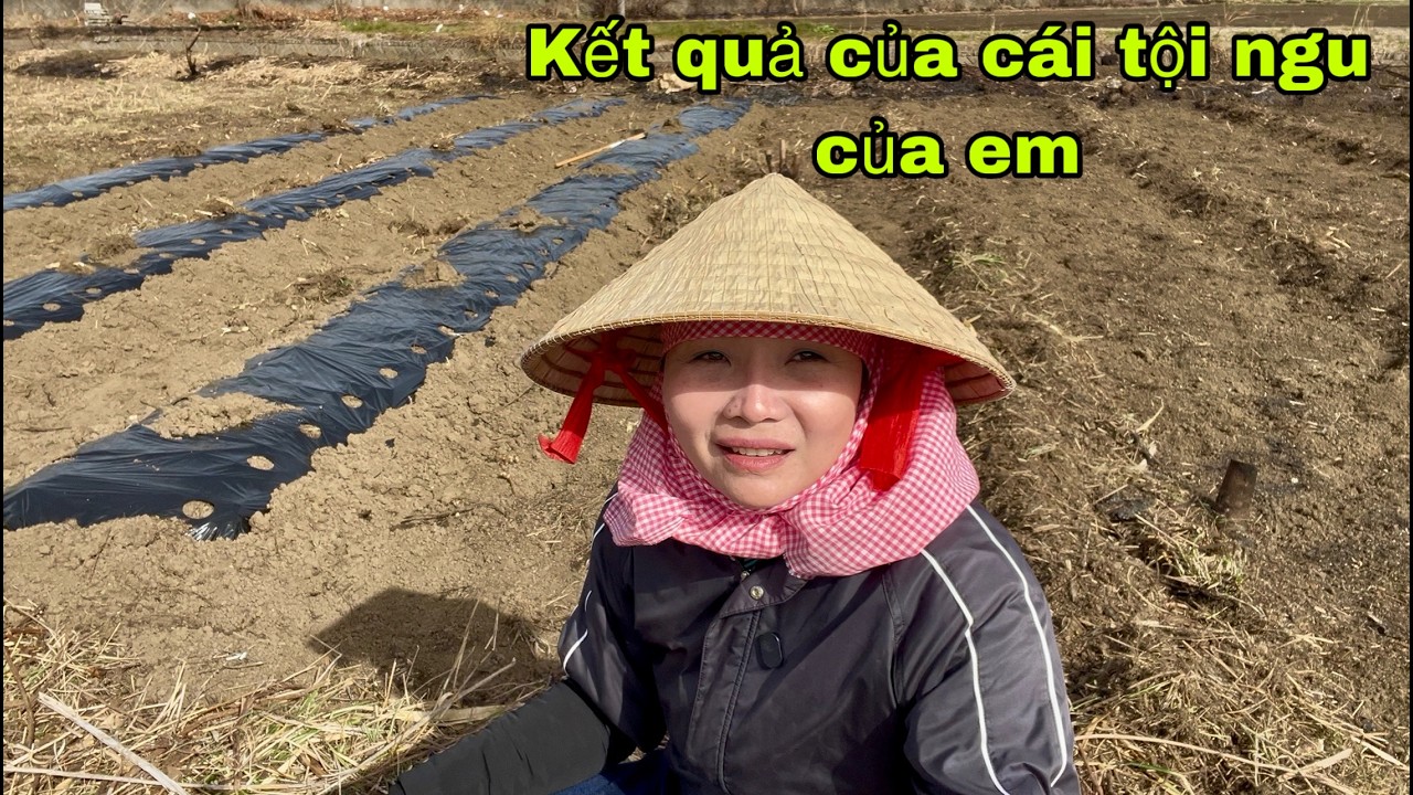 Lòng người khó đoán.cái kết đau buồn chỉ vì chữ ngu của em hôm nay