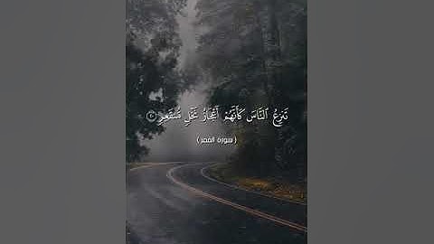 سورة القمر من آية 18 إلى آية 22 بصوت الشيخ ياسر الدوسري♥♥