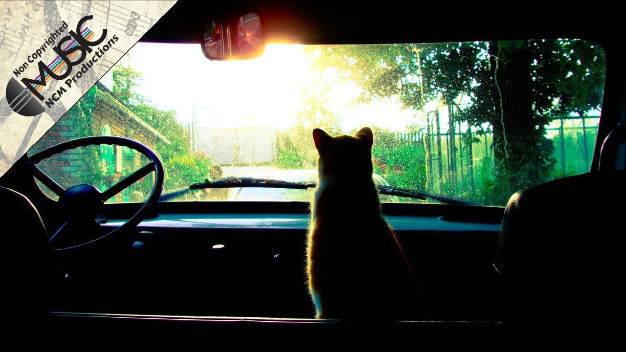 ON AND ON - Nicolai Heidlas | No Copyright Music | NCM Productions