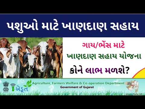 પશુઓના ખાણદાણ માટે સહાય યોજના || i khedut yojana 2021 || animal sahay yojana 2021