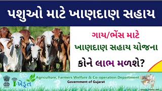 પશુઓના ખાણદાણ માટે સહાય યોજના || i khedut yojana 2021 || animal sahay yojana 2021