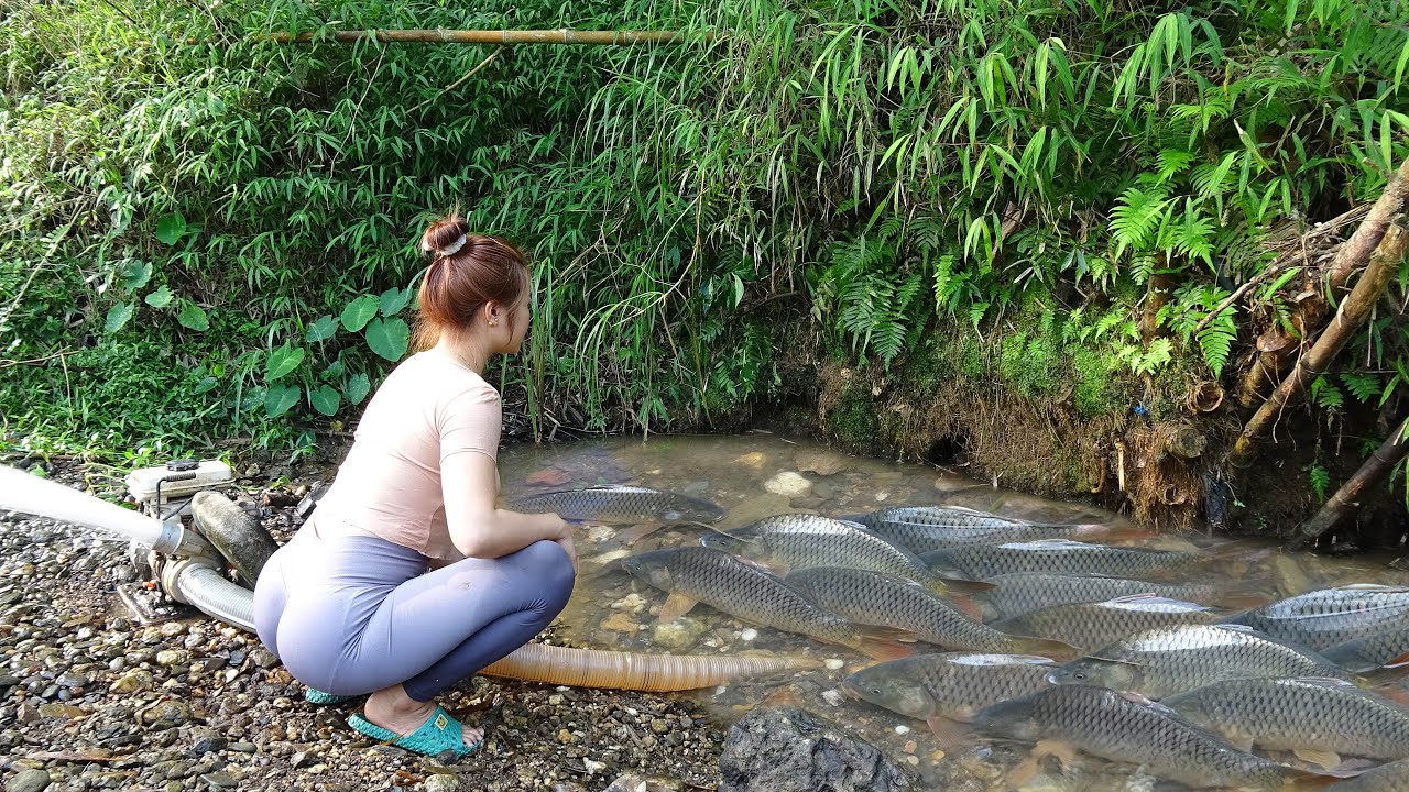 Full Video: Young Girl's Fishing on River and Lake, How to Fishing with Nets Catch Giant Fish