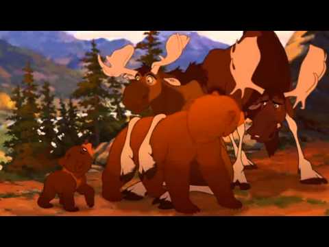 Bärenbrüder - Ich bin unterwegs