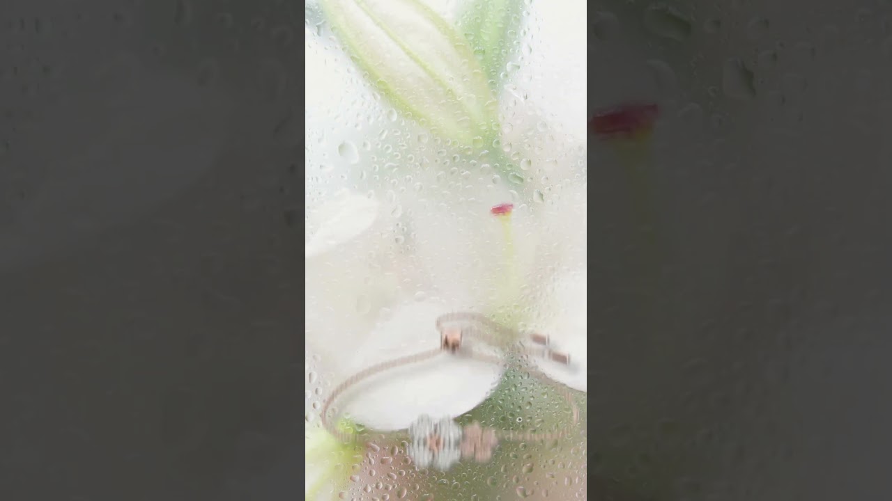 Gioielli in fiore: le proposte primaverili di Oiritaly 