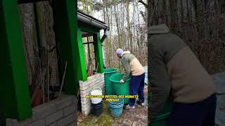 Der Frost ist vorbei ... 🤯 ! #shorts