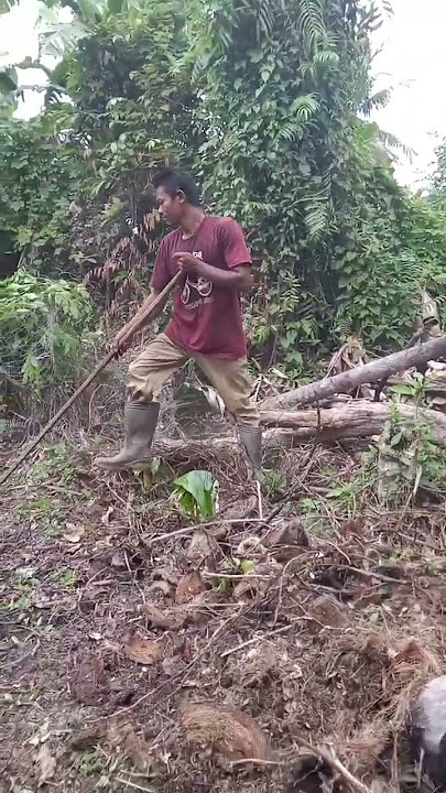 Singkat tapi bermakna, motivasi kehidupan #motivasidiri #katakatahikmahpendek #sortsvideo