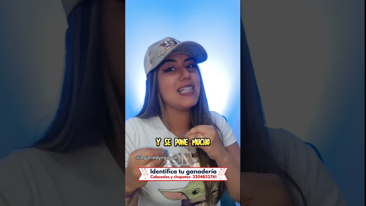 3 tips si tu vaca no está entrando en celo, estro o calor 