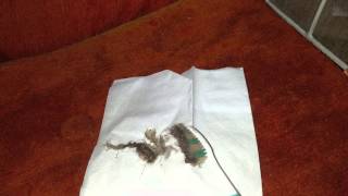 Simple way to deep clean your window Air Conditioner
