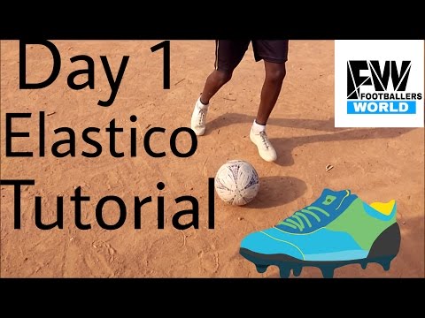 How to do Elastico Tutorial (DAY 1)