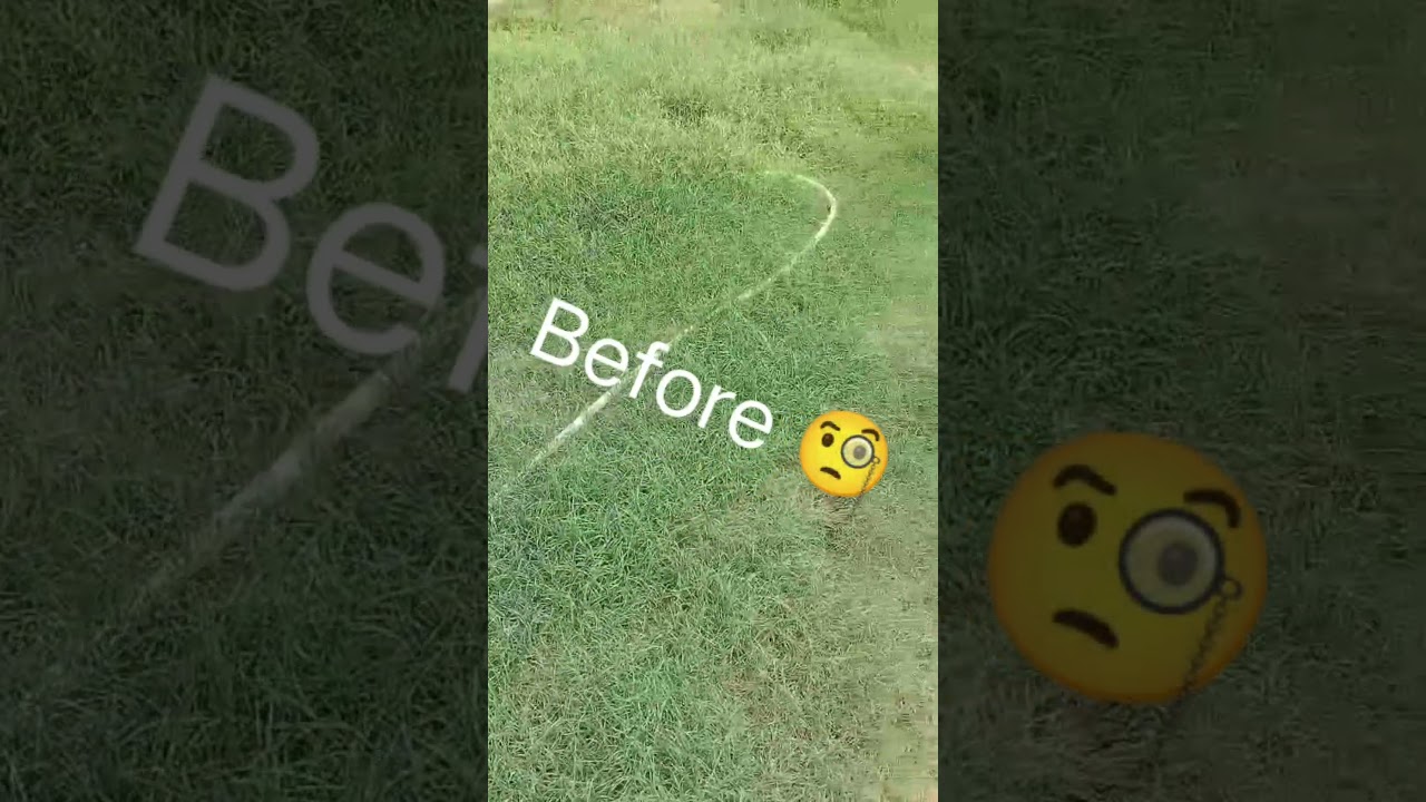 Grass cutting machine 