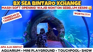 BXSEA BINTARO | BX Sea Bintaro | BX SEA AQUARIUM TERBESAR DI TANGSEL | BINTARO XCHANGE MALL