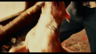 Swick Don - Buss Gun (Official Music Video HD) 2017