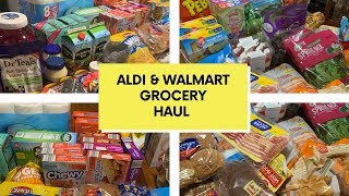 ALDI & WALMART GROCERY HAUL // $250 FOR FAMILY OF 6 // LARGE FAMILY