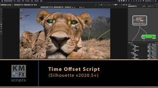 Time Offset Script - 2020.5+
