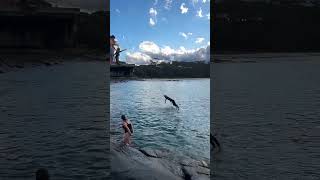 IMG 3165
