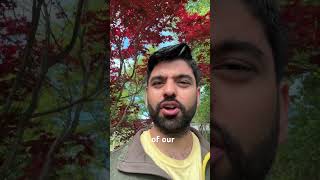 We Can’t Sit Still… and It’s Destroying Us #reflection #consciousliving #onelife