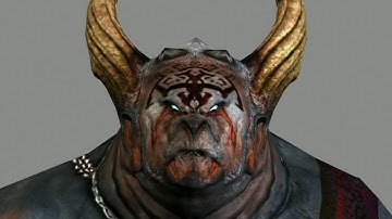 Age of Conan: Hyborian Adventures - Developer