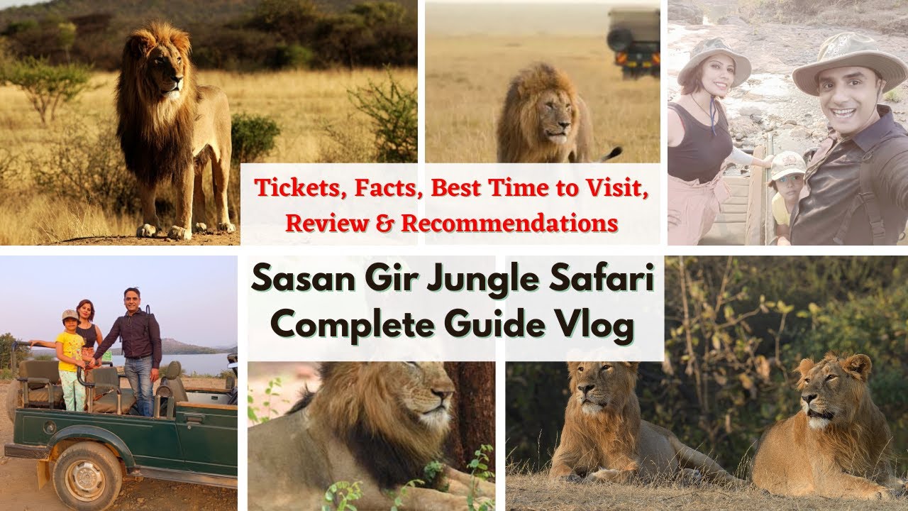 sasan gir safari ticket price