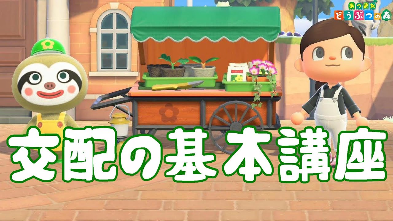 花の交配の組み合わせも紹介【あつ森】