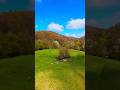 The colours are insane! 🔥 #nature #drone #viral #dji #djidrone #djiavata2 #avata2 #trees #fpvdrone