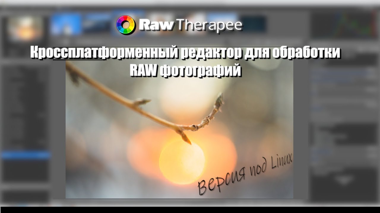 RawTherapee 5.12. Обрабатываем RAW фото в Linux