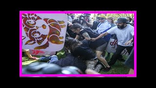 5 assaulted at berkeley protests as black-clad anarchists storm rightwing rally