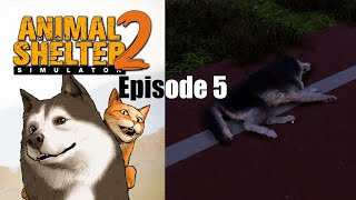 Animal Shelter 2 Episode 5 - Intervention @randomobsessor
