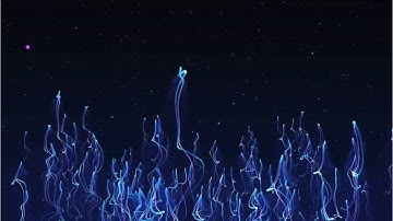 Floating dreams - Doctor Magnus [Chill Music, House, Chill House, Deep House]