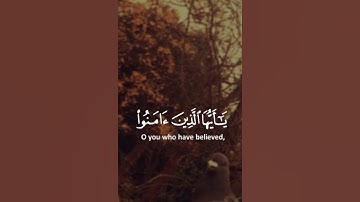 ‏ما تيسر من سورة الأحزاب #قران #الرحمن #قرآن #قران_كريم #قرآن_كريم #الجمعة #الكهف #الصلاة_على_النبي