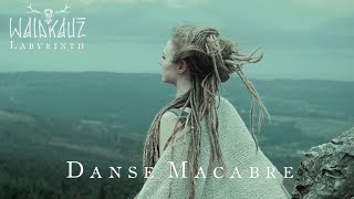 Waldkauz - Labyrinth Albumplayer