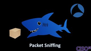 Packet Sniffing