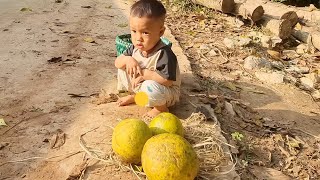 His mother was sick, so his son begged for fruit and sold it to get money to buy food for his mother