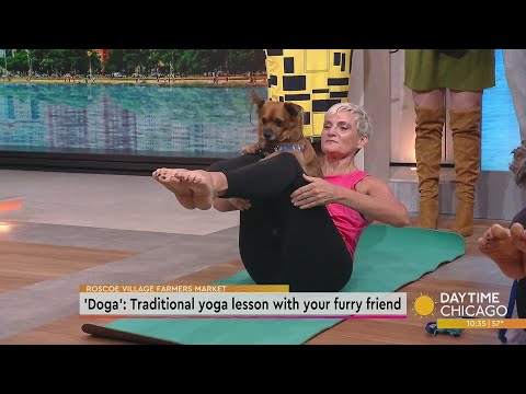'Doga': Traditional yoga lesson with your furry friend