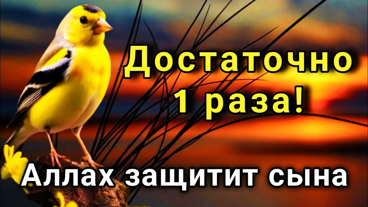 ЭТО САМАЯ СИЛЬНАЯ МОЛИТВА ЗА СЫНА!СПАСЁТ ОТ БЕДЫ ЗЛЫХ ЛЮДЕЙ ПОРЧИ СГЛАЗА СИЛЬНЫЙ ОБЕРЕГ!  