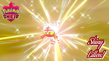 ✨Pokémon Shield: SHINY LITTEN VIA THE MASUDA METHOD! (476 EGGS)✨