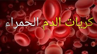 ما هي كريات الدم الحمراء؟ وما وظيفتها ؟وما هي الامراض التي تصيبها؟