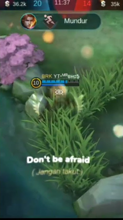 Story User Tank Mobile Legends