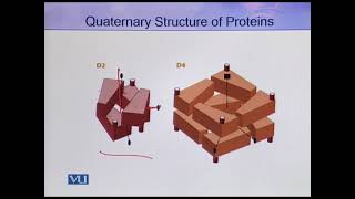 Quaternary Structure of Proteins | Introduction to Biotechnology | BIO5101_Topic027