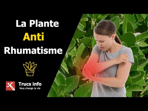 Vidéo: Plantes Pour Rhumatismes. Partie 1